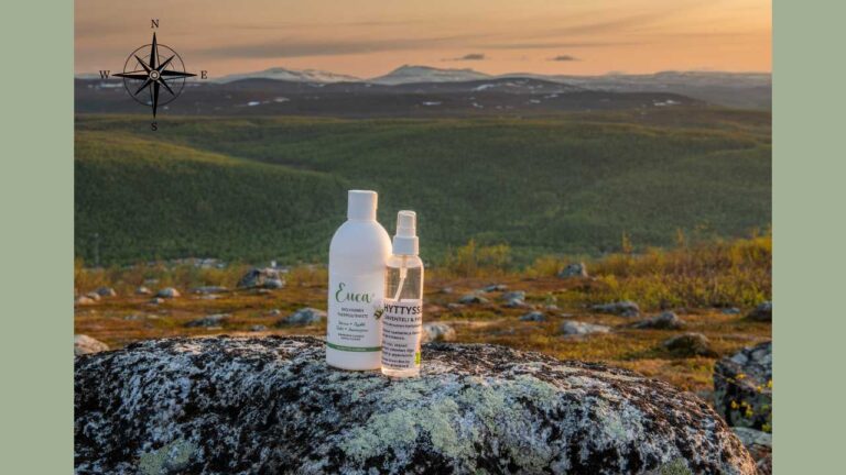 Savonlinnan kesäkauppa siirtyi Kotkan Ristinkalliolle